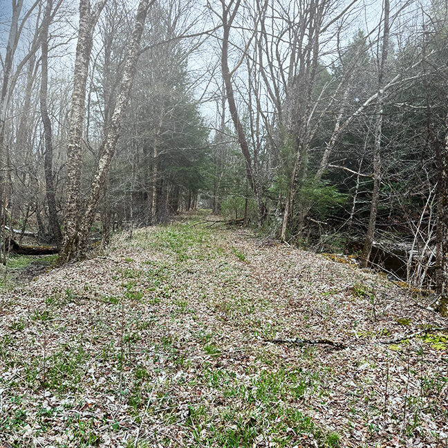 3-RR Bed1
