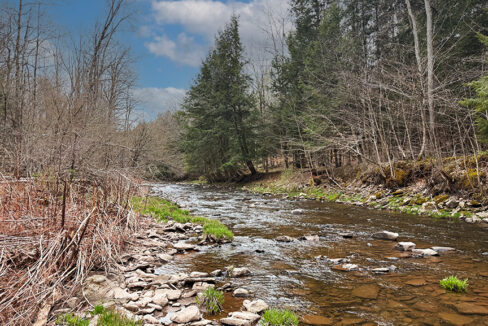 5-Creek1