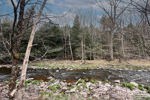 6-Creek3