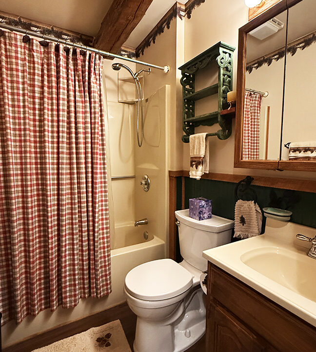 10-Full Hall Bath